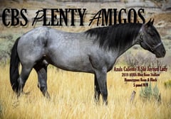 CBS Plenty Amigos - Thumbnail 1