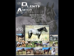 CBS Plenty Amigos - Thumbnail 2