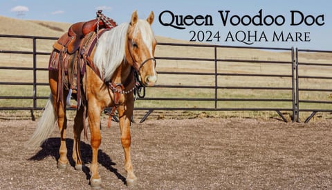 Queen Voodoo Doc - Photo 1