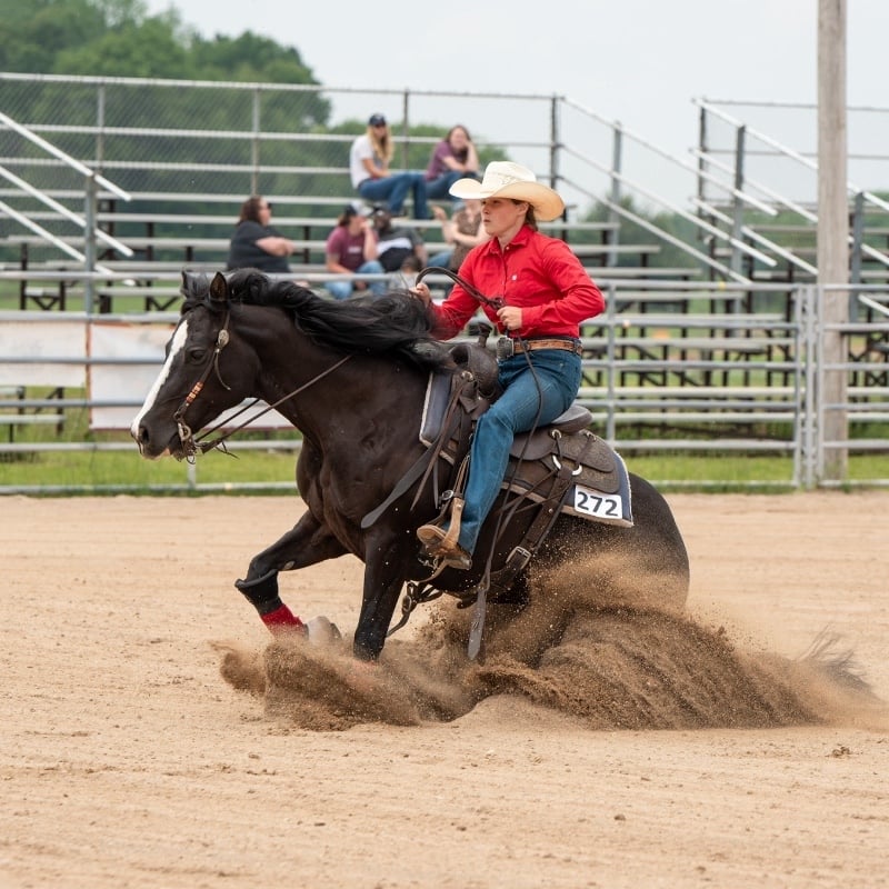 Vreeman Farms Performance Horses