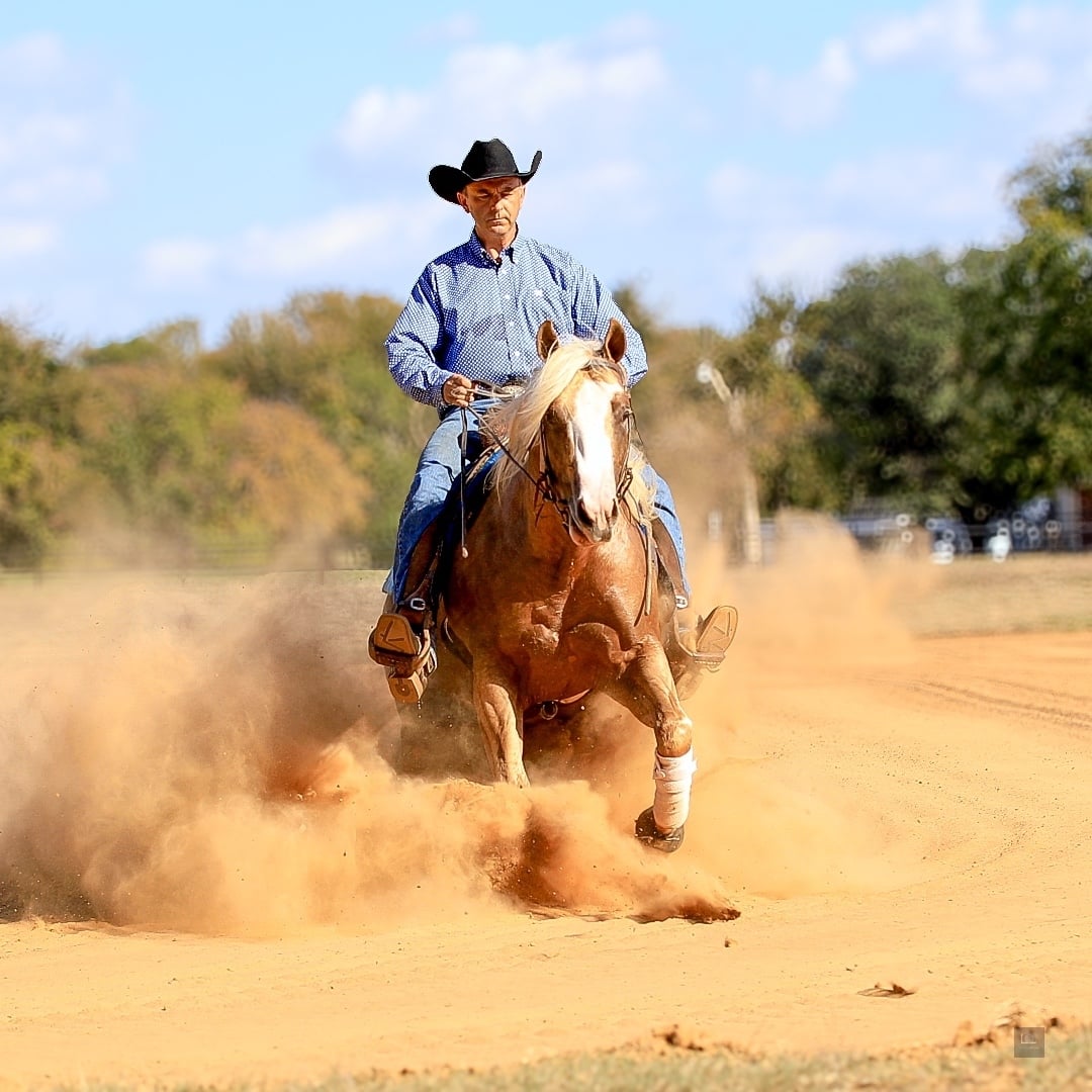 Mark How Performance Horses