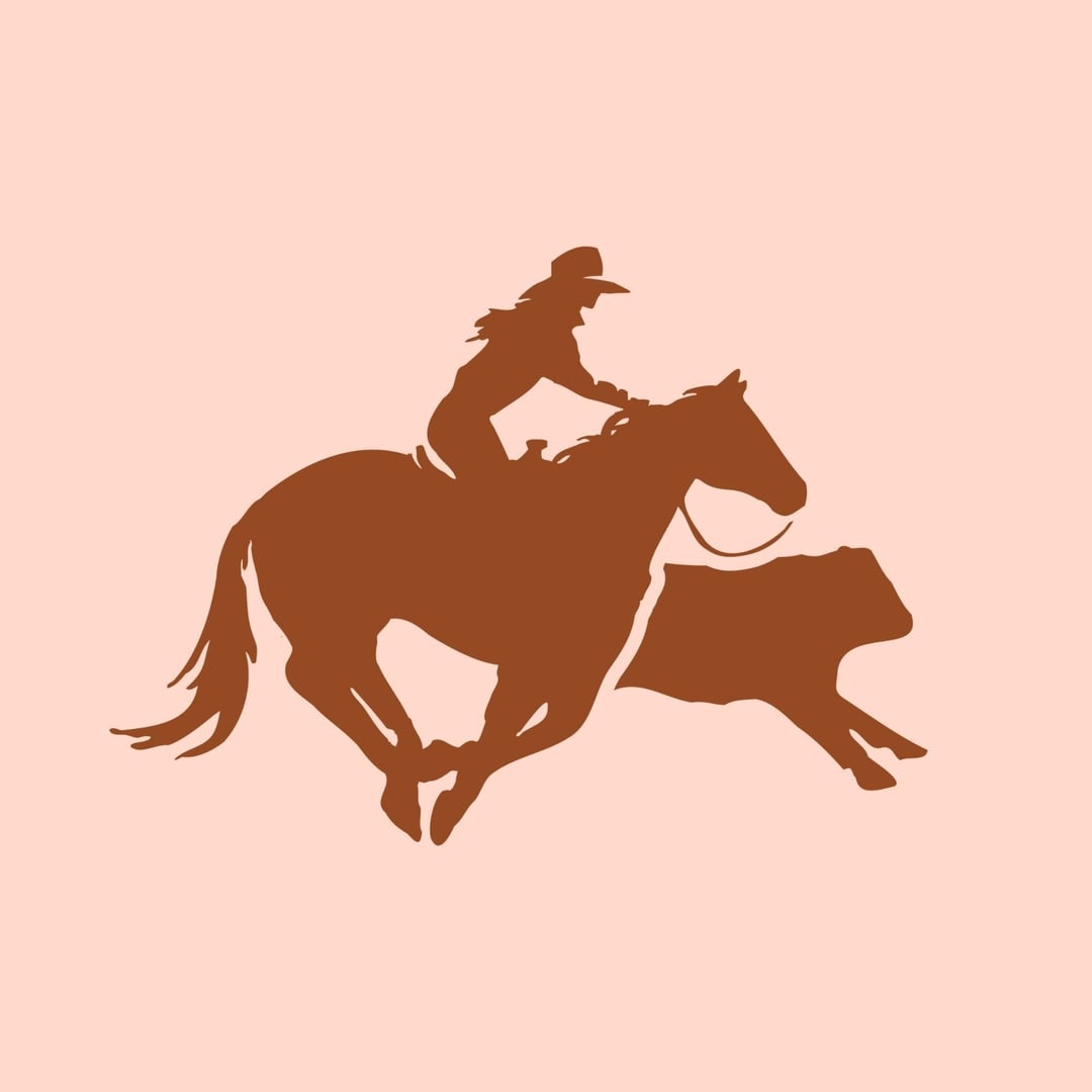 Colorado Horse Sale