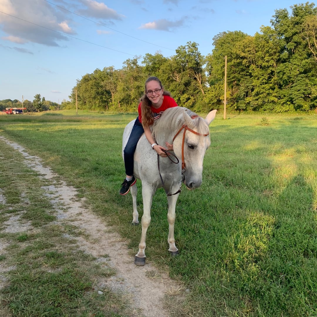 Alexandria’s Horses for Sale(Walls Family Farm)