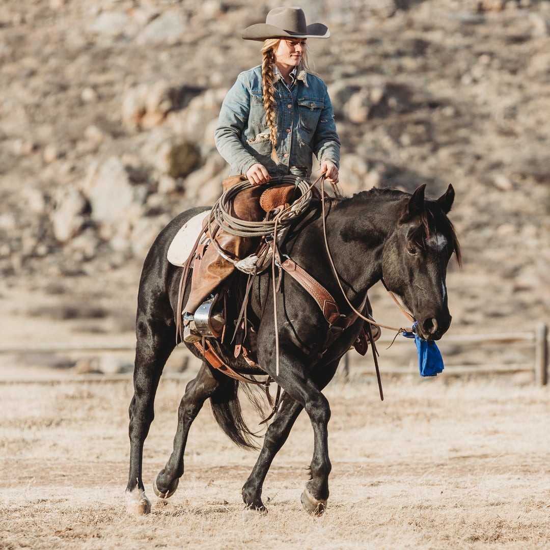 Spirit Ranch Equine
